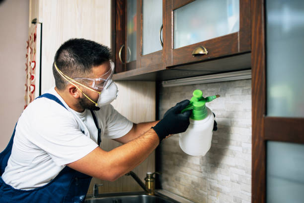 Pest Control for Restaurants in West Point, NY