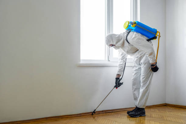 Best Flea Control Services  in West Point, NY