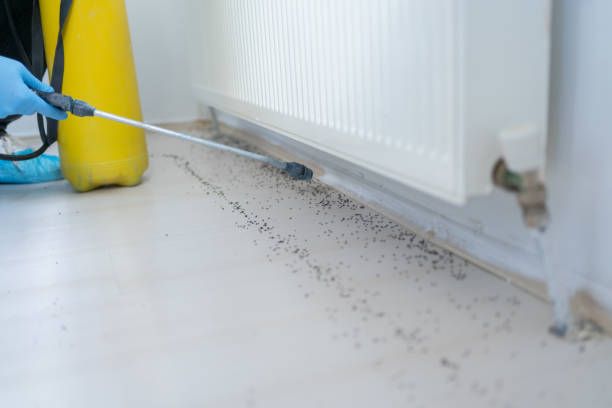 Best Emergency Pest Control  in West Point, NY