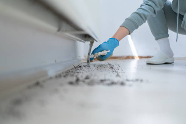 Best Termite Control Services  in West Point, NY